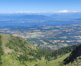 74 GENEVOIS – TABAC PRESSE + LOGEMENT T3