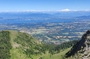 74 GENEVOIS – TABAC PRESSE + LOGEMENT T3