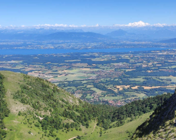 74 GENEVOIS – TABAC PRESSE + LOGEMENT T3