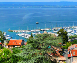 74 – THONON – TABAC PRESSE avec T1